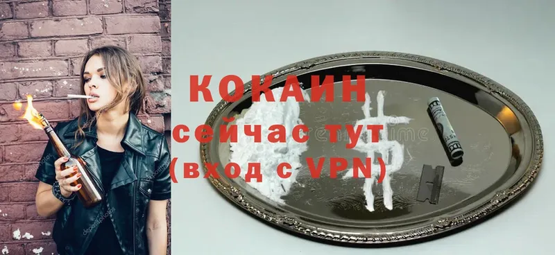 Кокаин FishScale  закладки  Андреаполь 